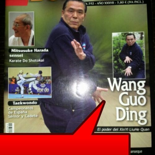 My Grand Master Wang Guo Ding
