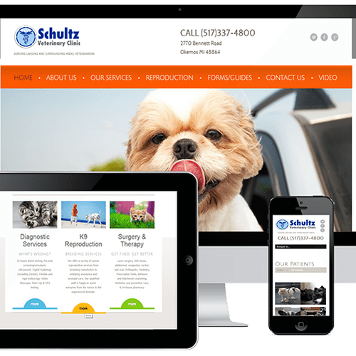 Schultz Vet Clinic is a Foundry Website which incl