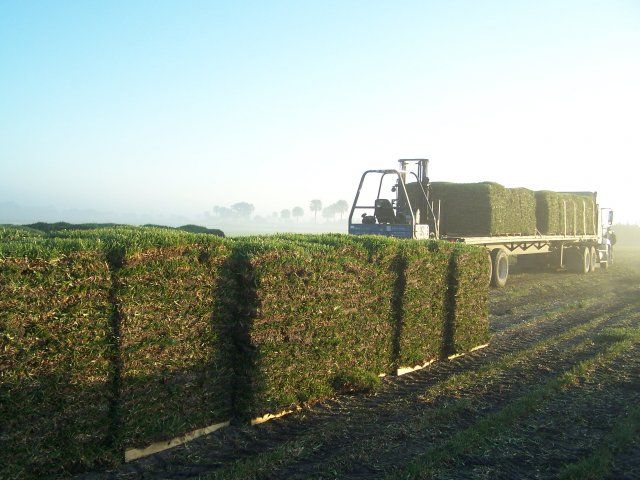 Always farm fresh every time!