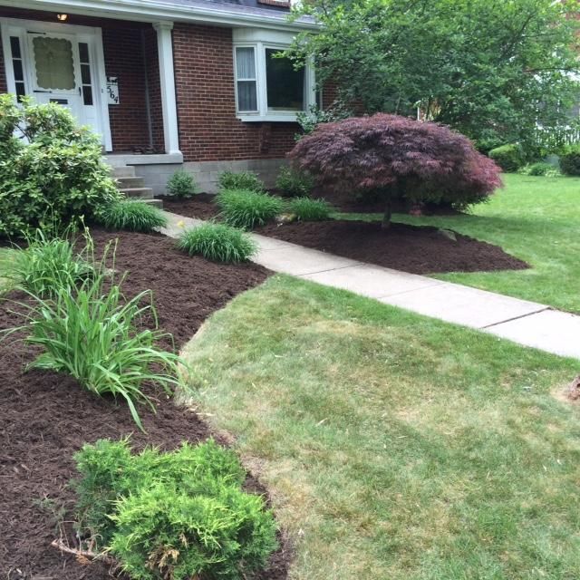 Landscaping completed 2015