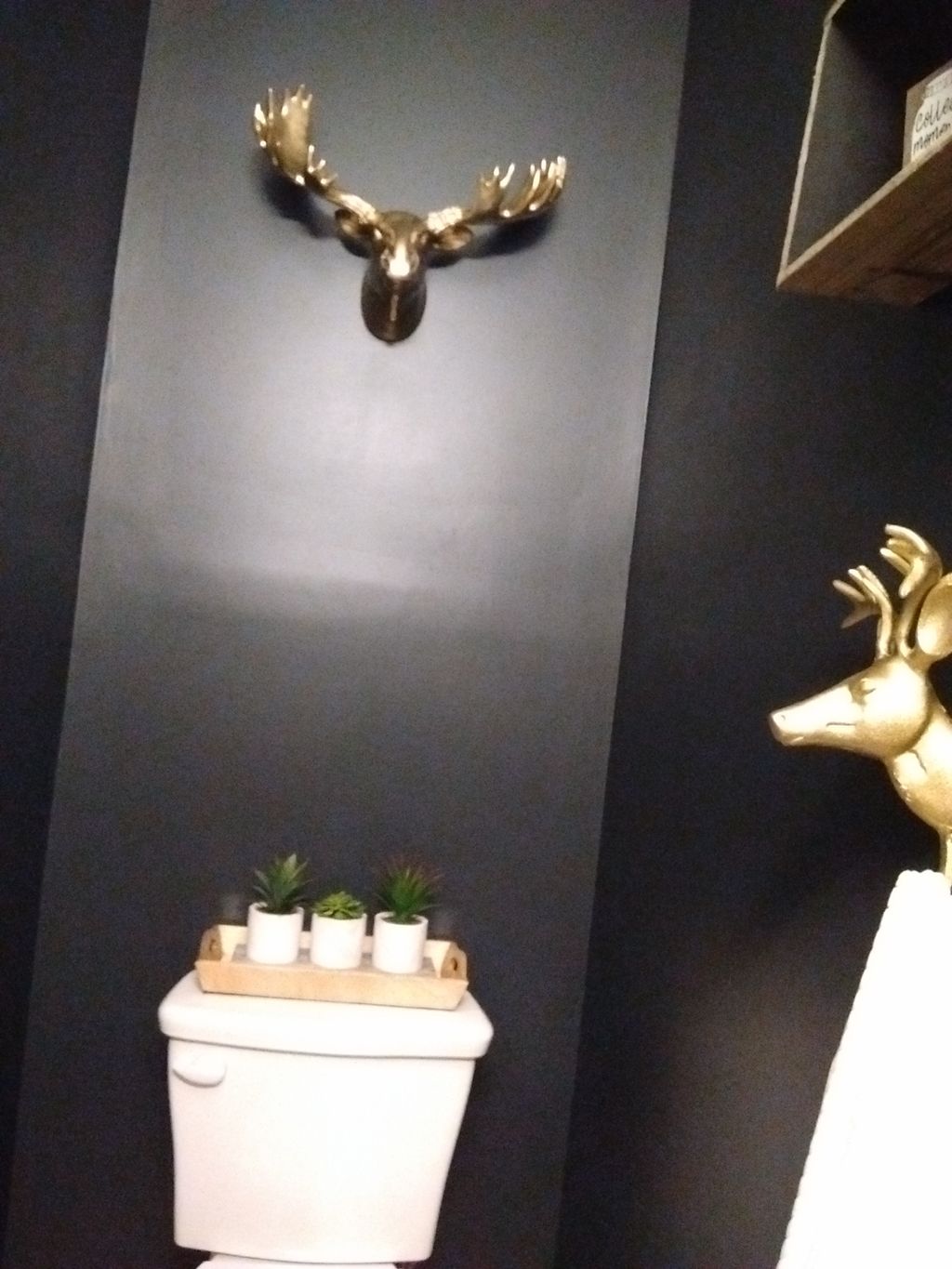 Guest Bath - charcoal