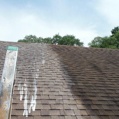 During Roof Cleaning
