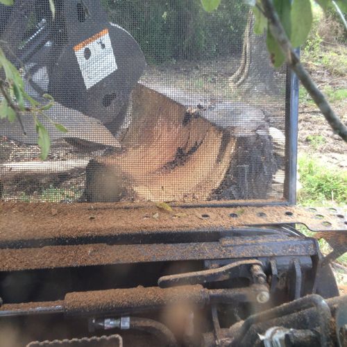Stump Grinding. Large and Small