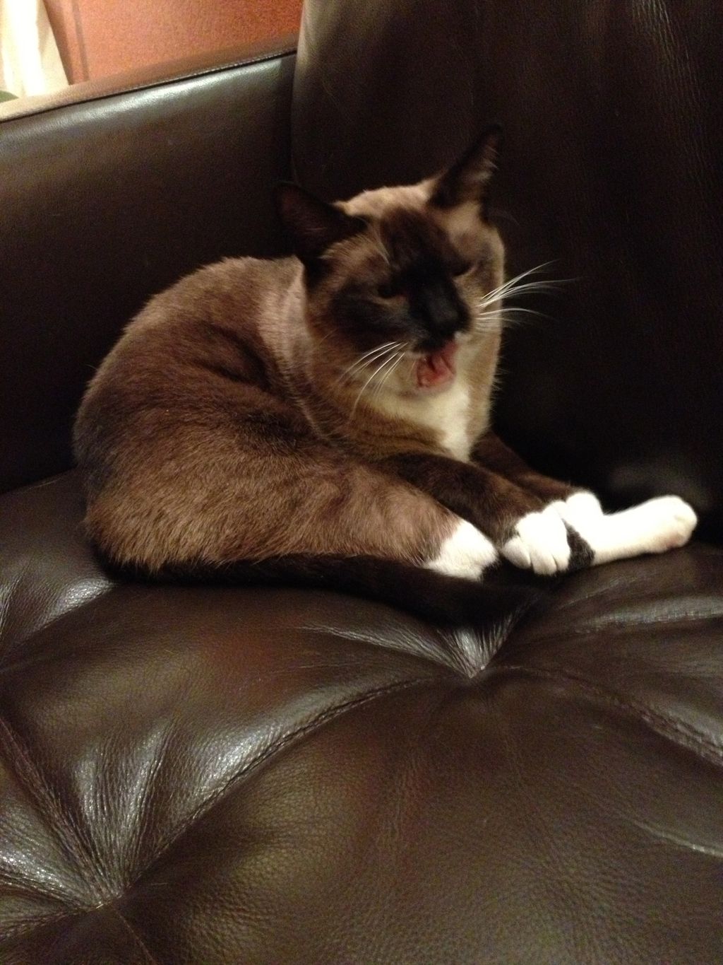 Sammy