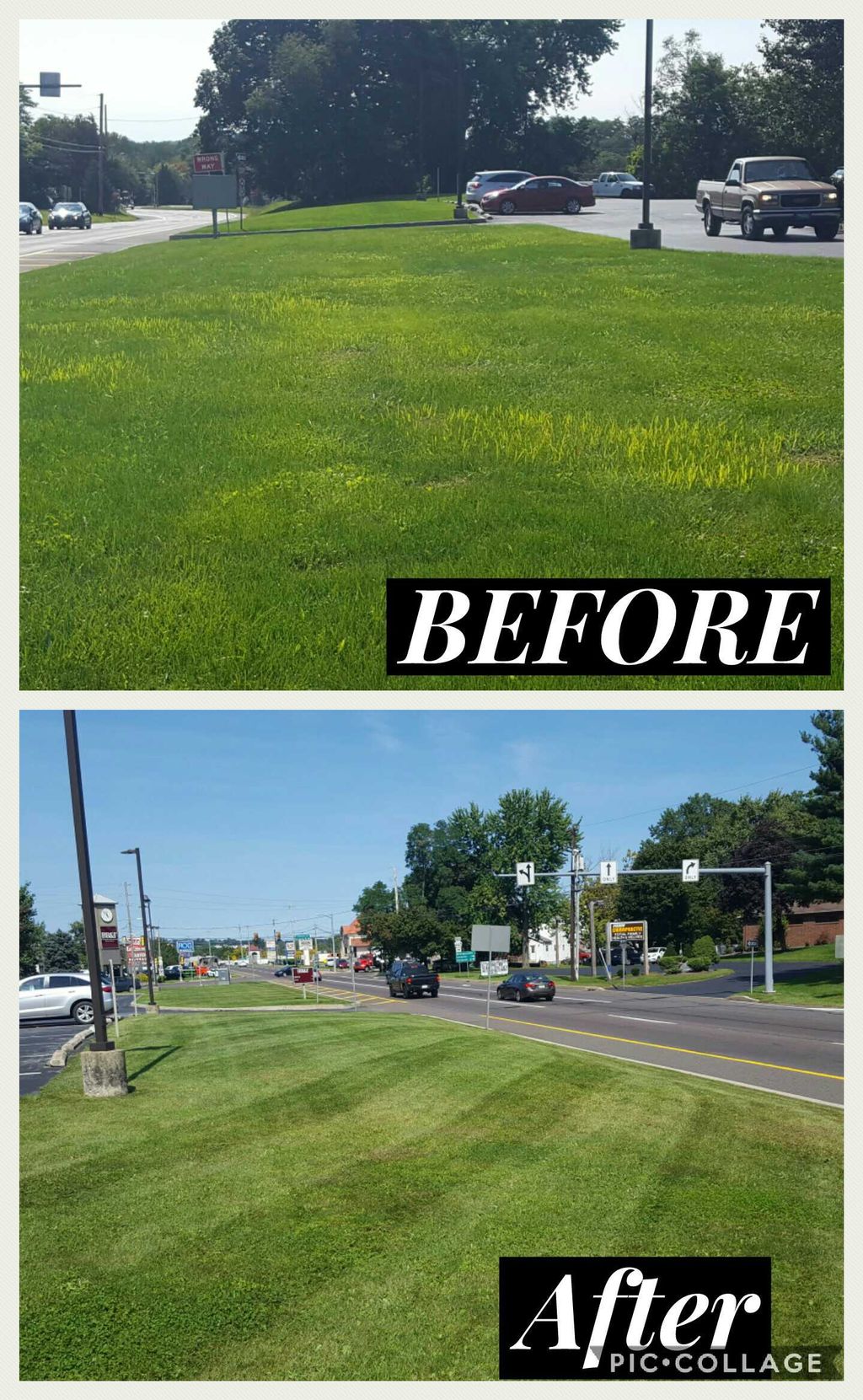 Commercial Landscaping