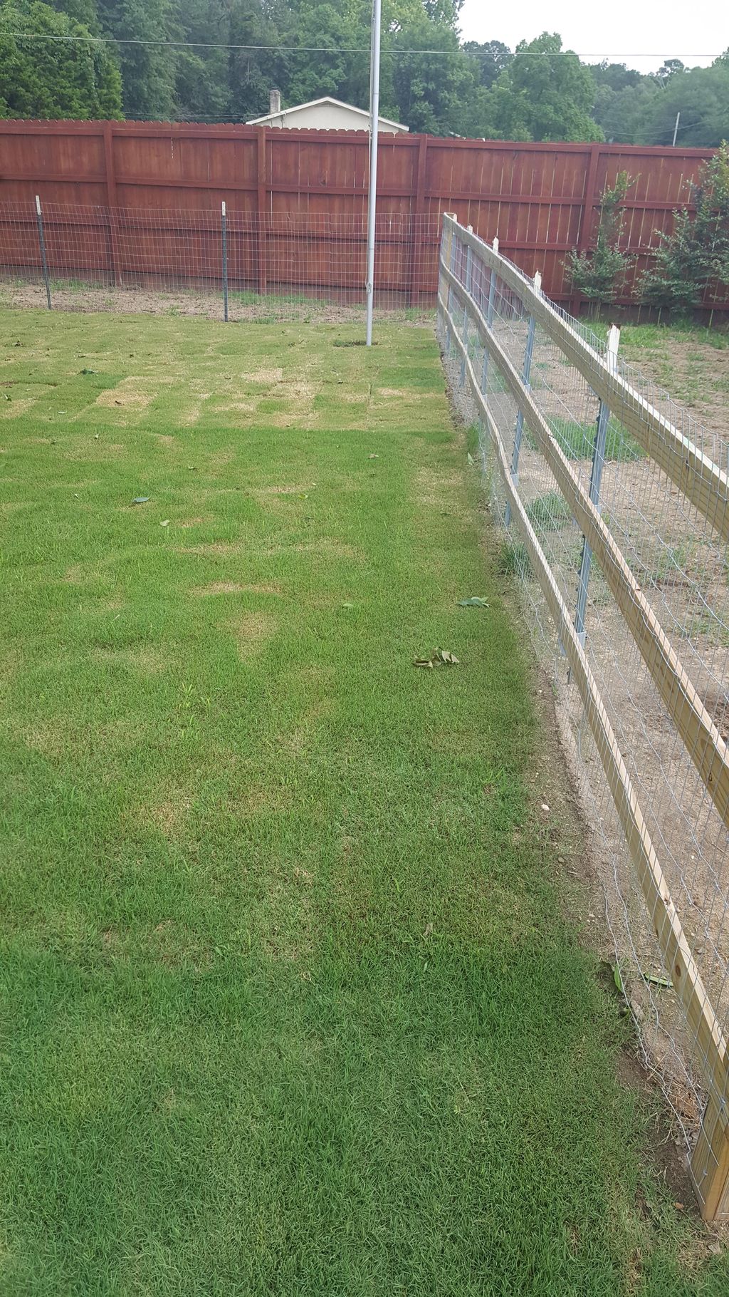 fence runners with new sod instal 