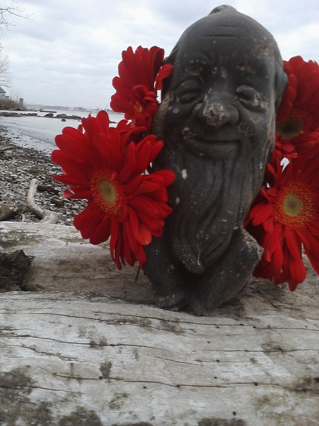 Luau Louie goes to the beach. He collects 4 slimy 