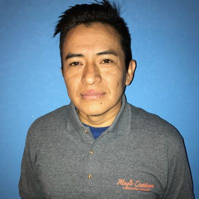 Avatar for Magic Landscape