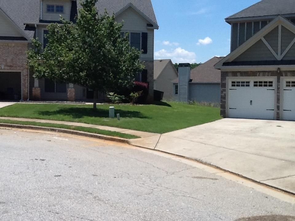 Cut & Edge Job done in Covington.