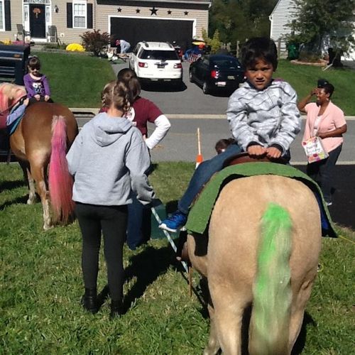Pony party riding backwards!