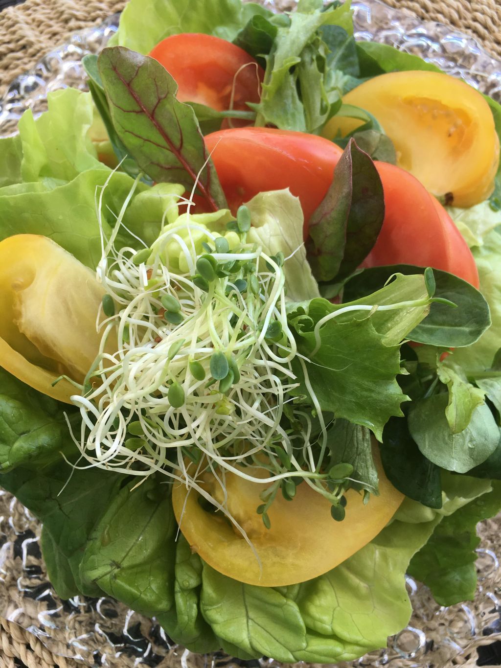 Heirloom Tomato, Sprouts Avocado Toast 