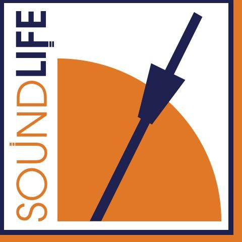 SoundLife In Home Music Instruction
