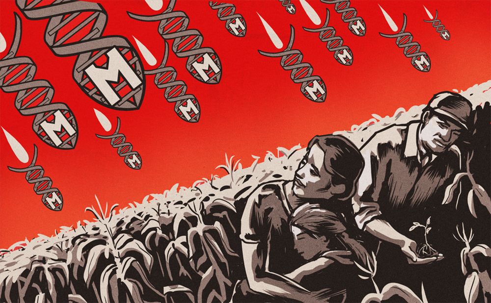 Illustration for Modern Farmer Magazine, "Why Does