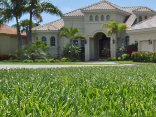 Lawn Care
