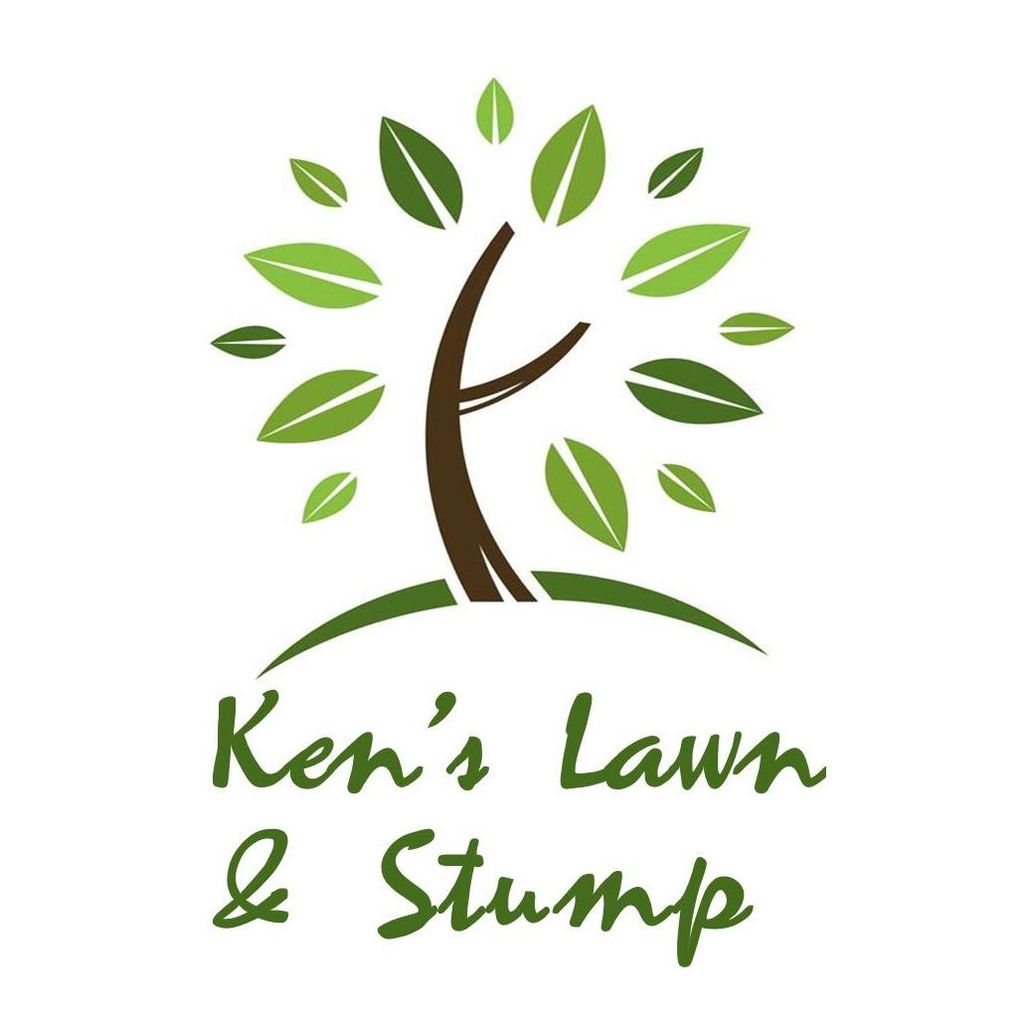 Ken's Lawn and Stump