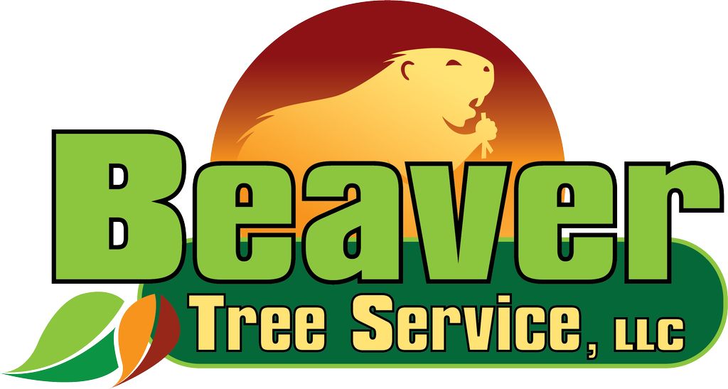 Beaver  Tree Service LLC
