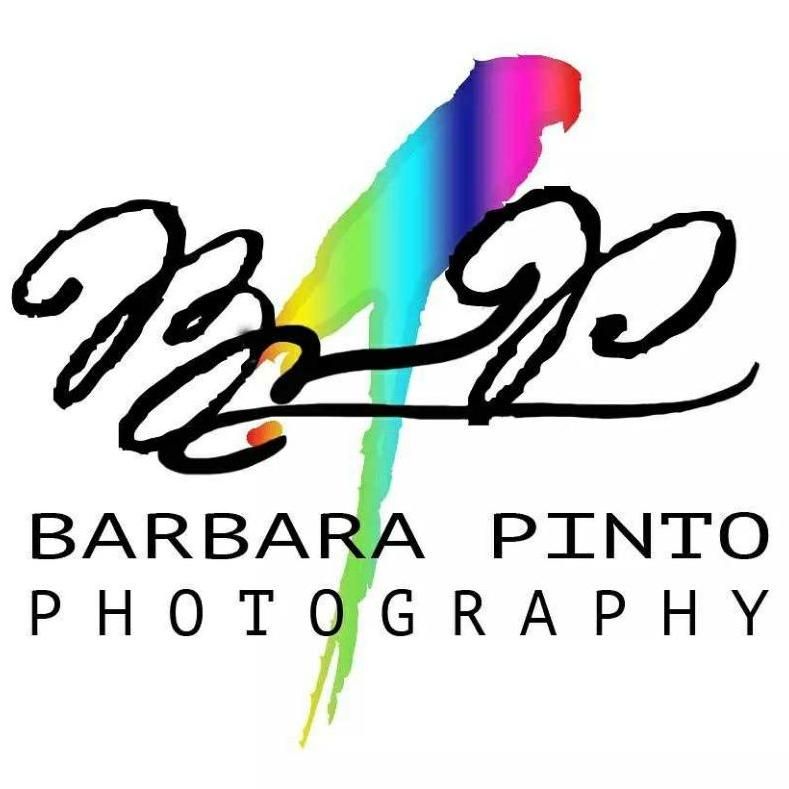 Barbara Pinto Photography