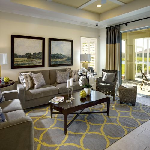 Gray & Gold Living Room