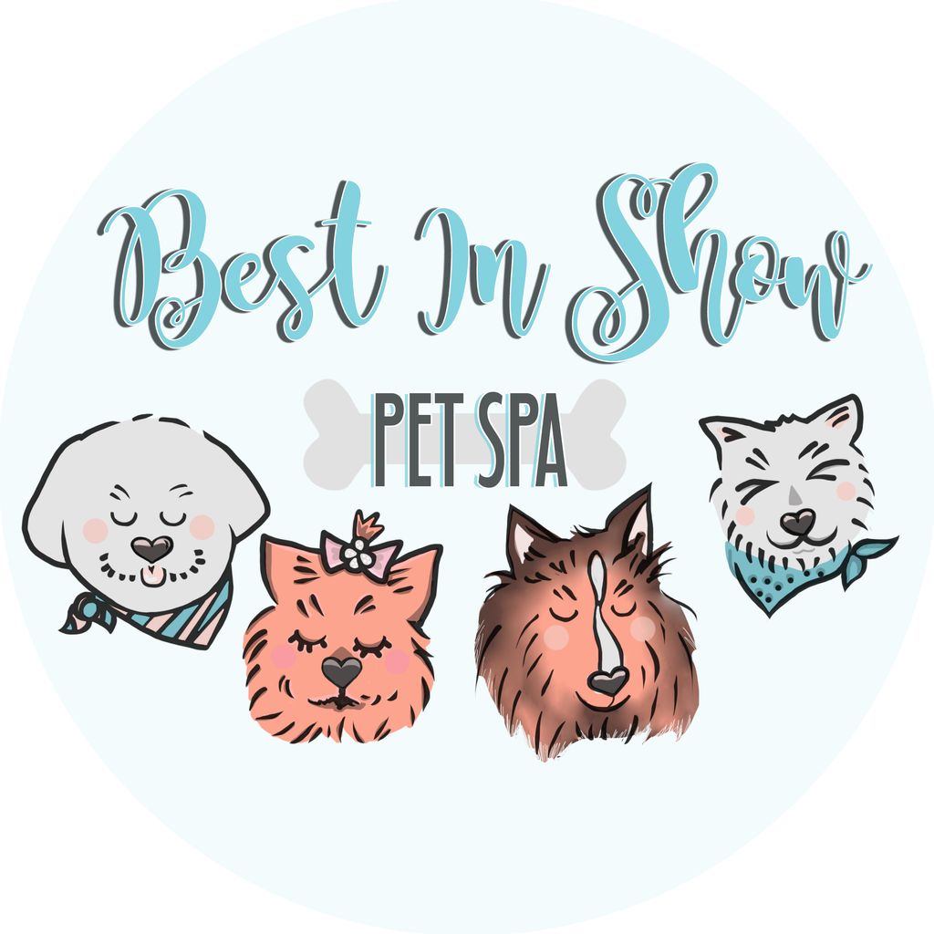 Best In Show Pet Spa