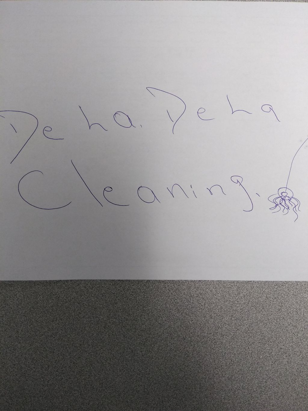 Dela Dela cleaning.