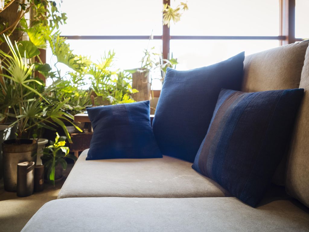 The Sofa's will be vacuumed for pet hair and crumb