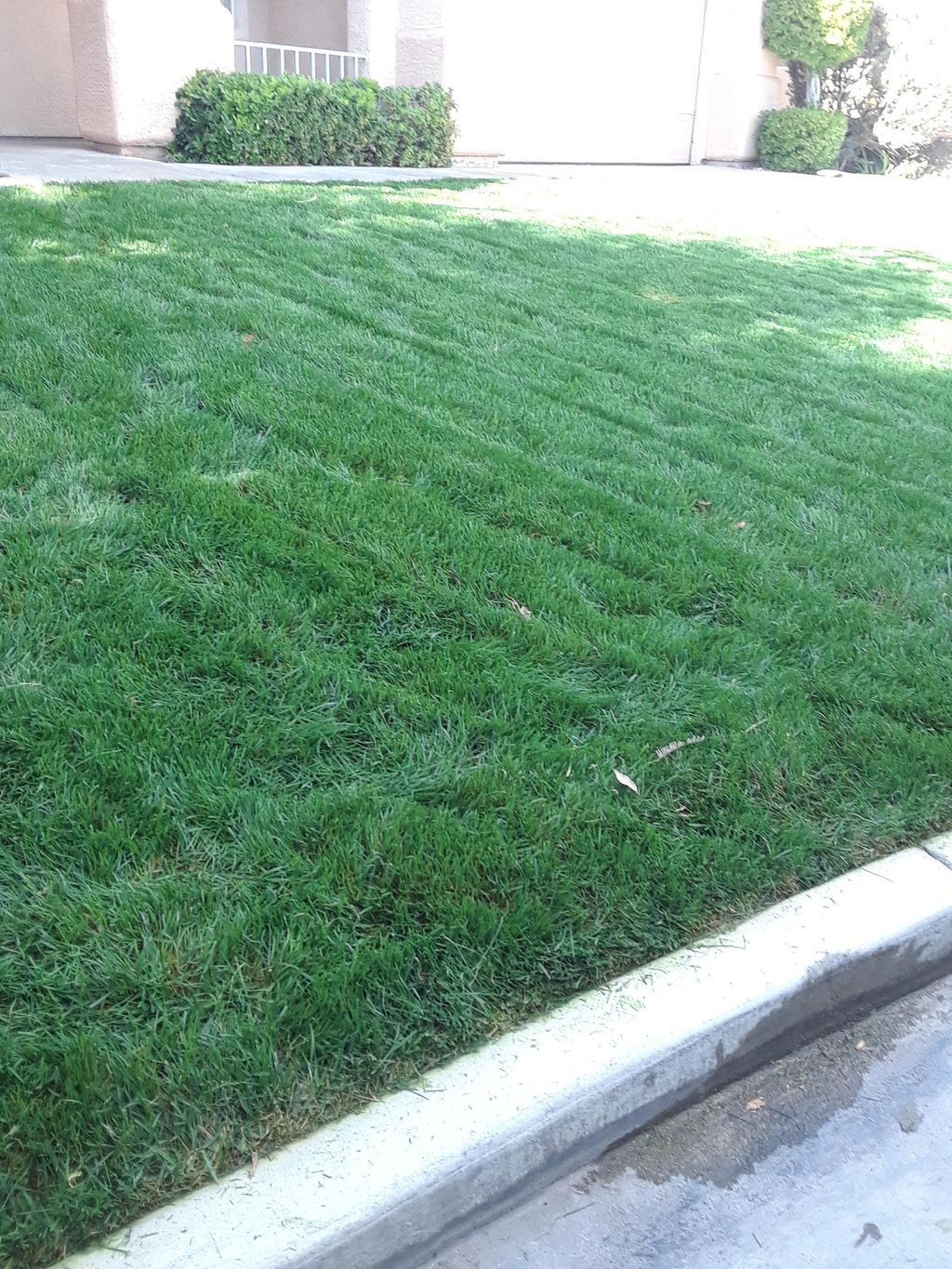 This is one of the properties that we maintain and