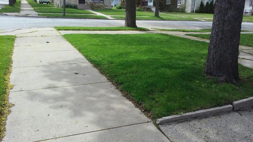 Front Lawn Side view (After)