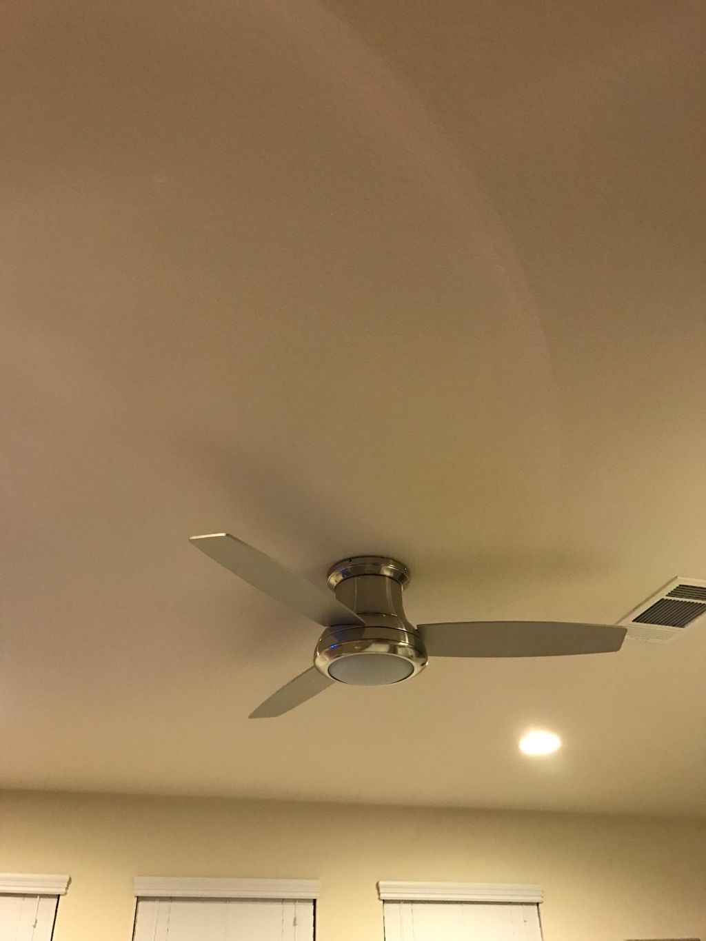 Livingroom ceiling fan.