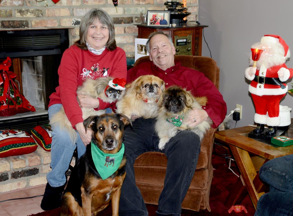 Christmas 2013 at our house