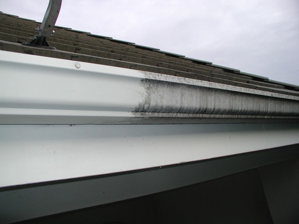 Gutter Facial Cleaning