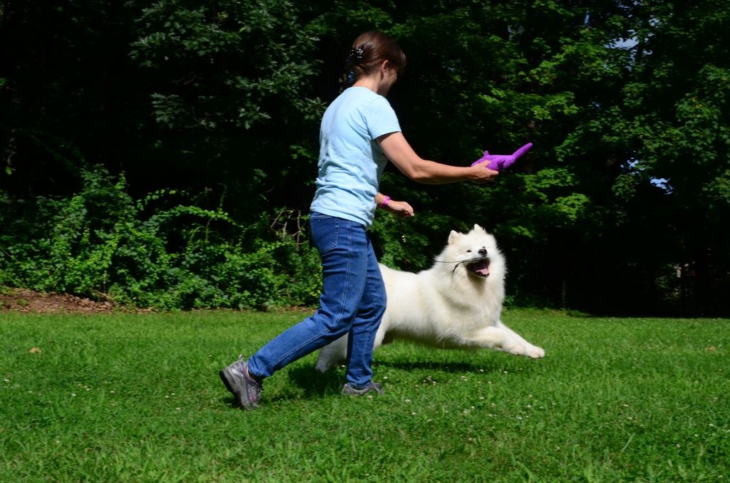 Our training is 90% play, 10% work. Pictured here 