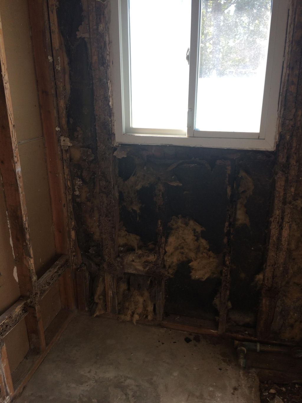 termite damage on a bath remodel