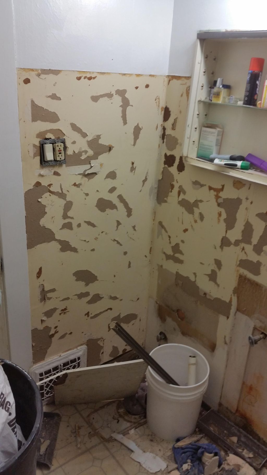 B4 pic--Toilet, sink, light over new medicine cabi