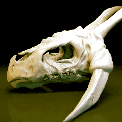 Dragon Skull 3D Sculpt.