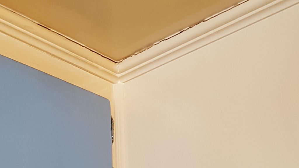 One side cleaned of tobacco smoke residue, one sid