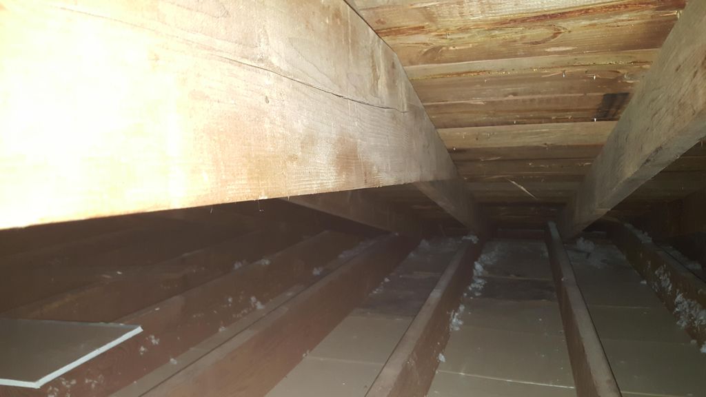 Insulation Removal