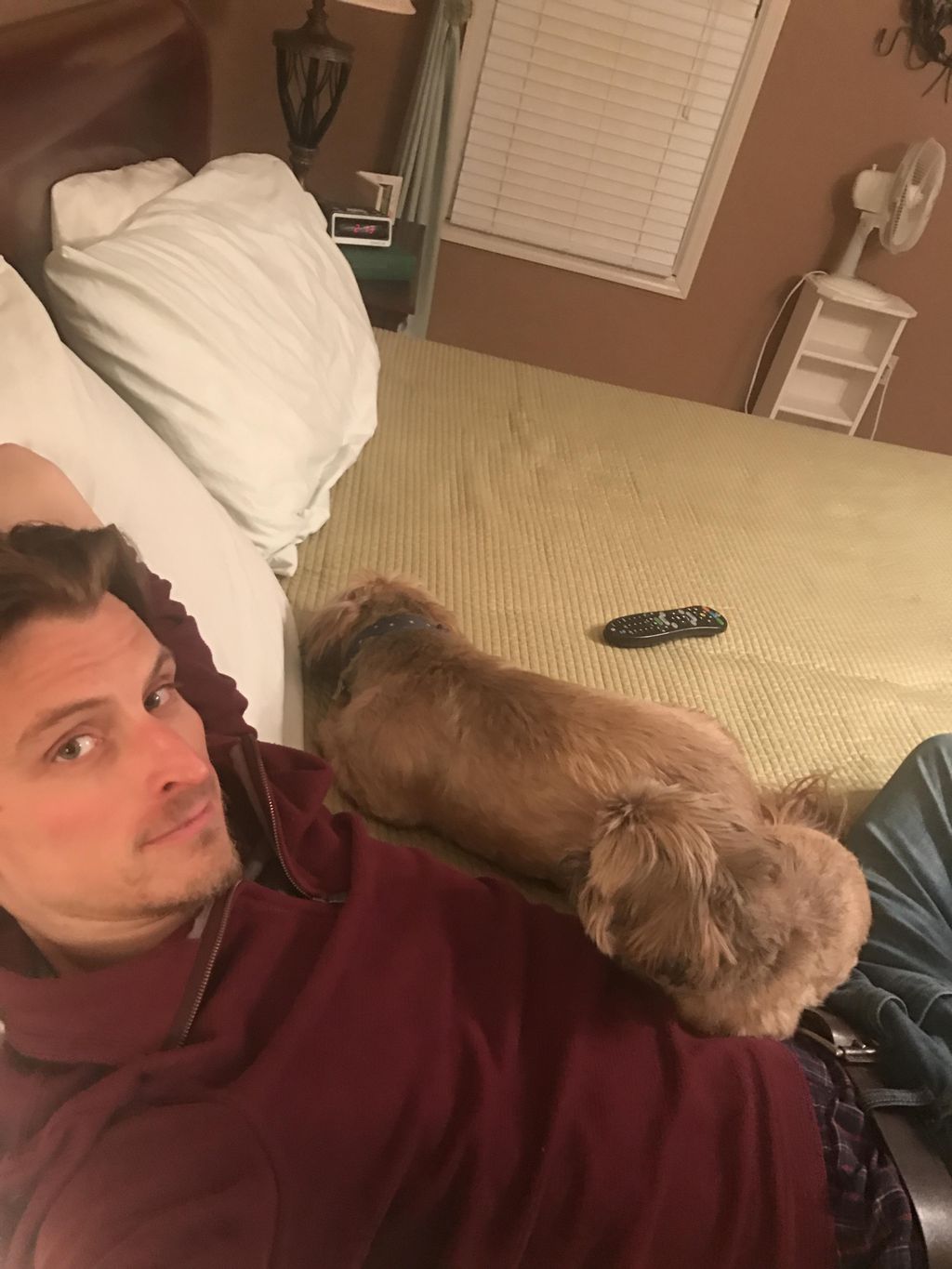 Snuggling with my 2 Shih-tzus!