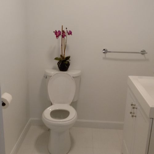 Toilet replacement