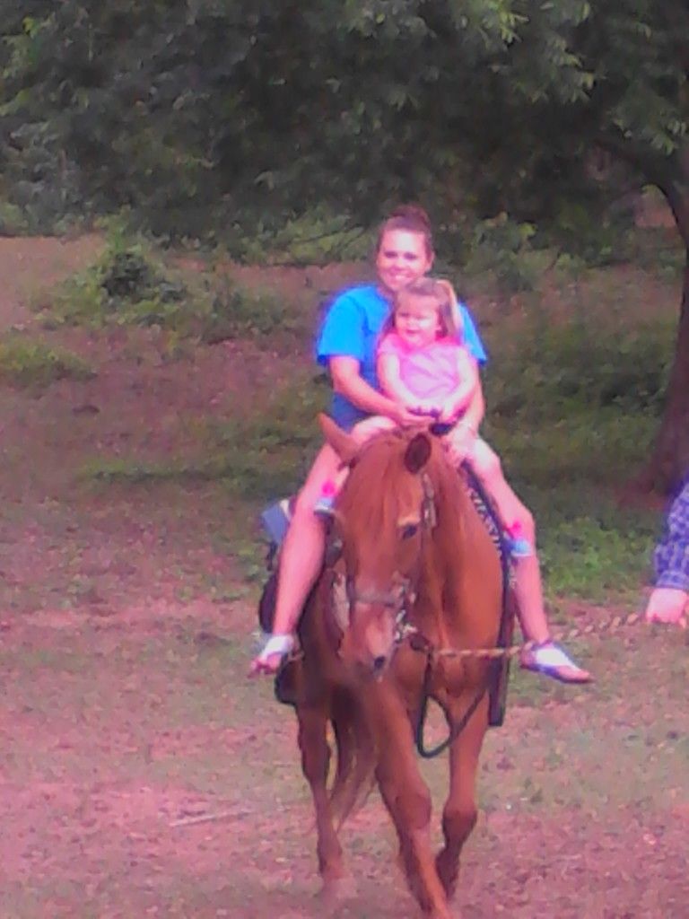 These folks left with a changed mind about horses 