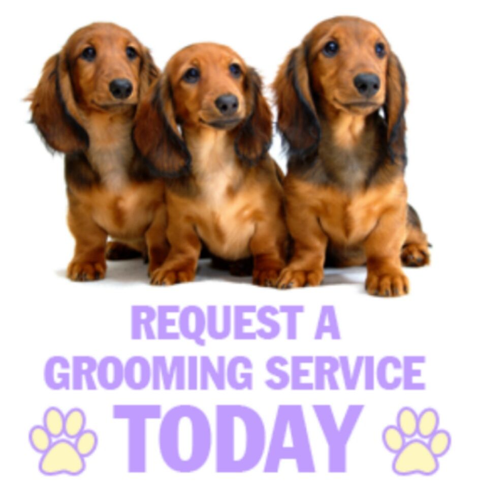 One-Of-A-Kind Grooming