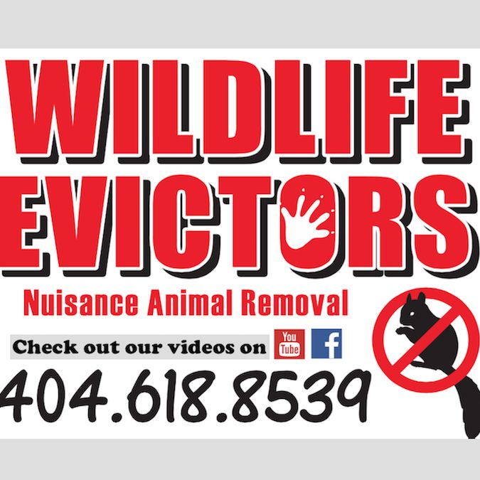 Wildlife Evictors