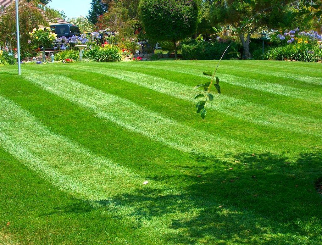Striped lawn
