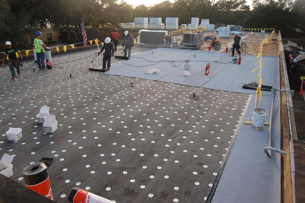 Tampa project modified off going back with GAF mod