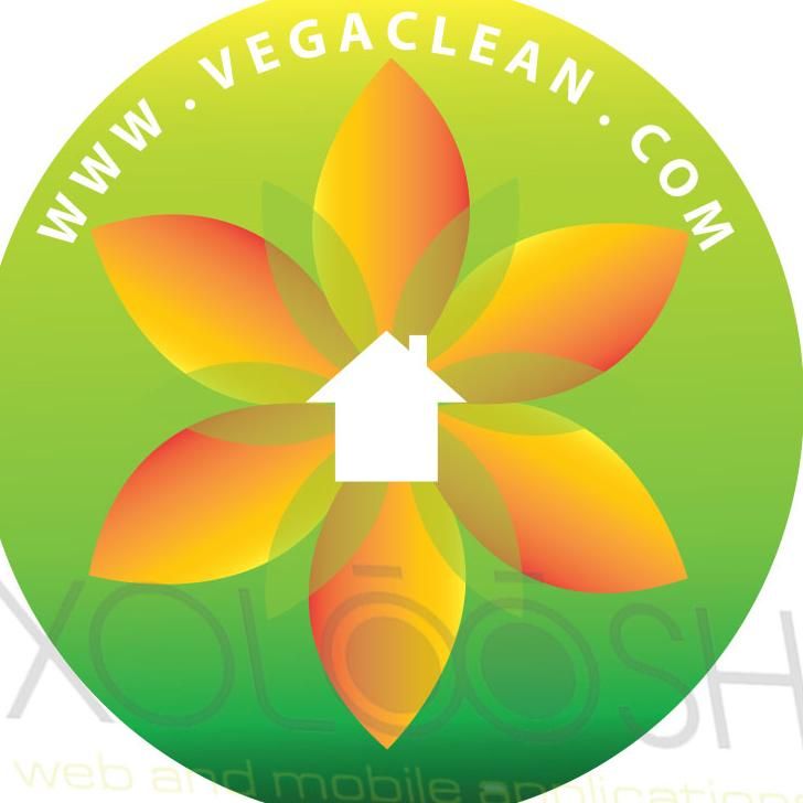 Vegaclean LLC