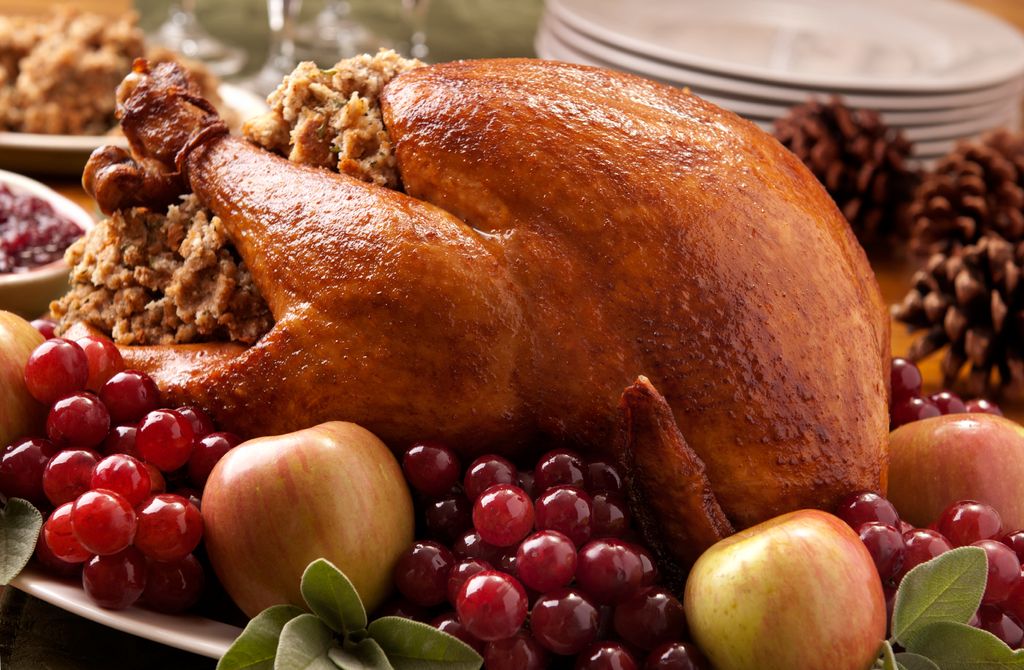 Holiday Roast Turkey
