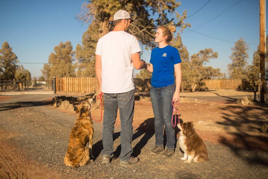 AKC CGC training & testing available!