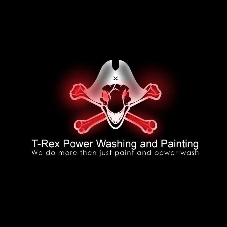 T-Rex power wash and painting