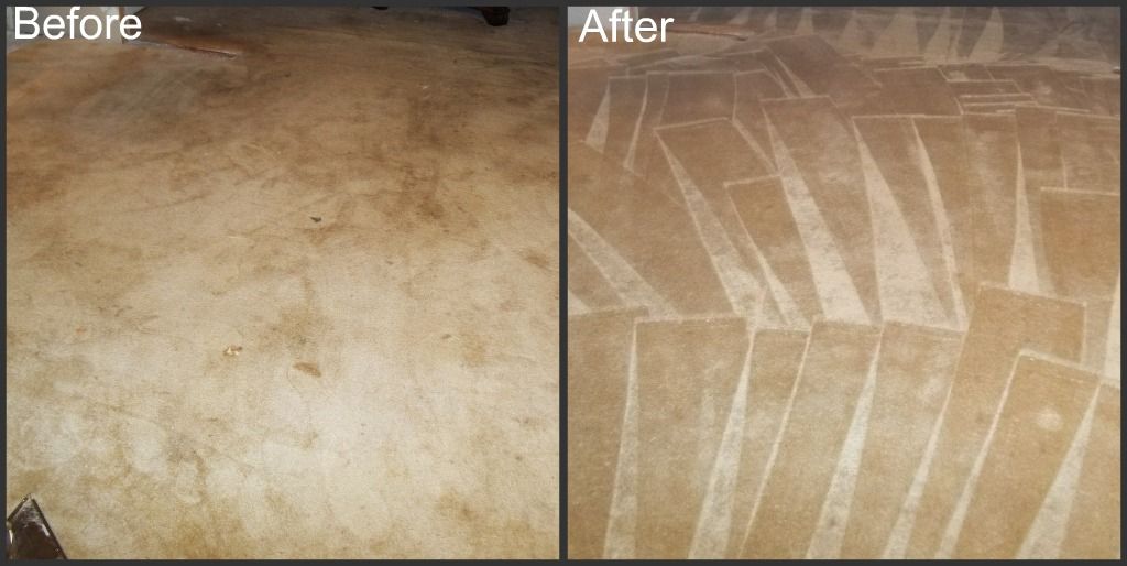 Carpet Cleaning Before and After