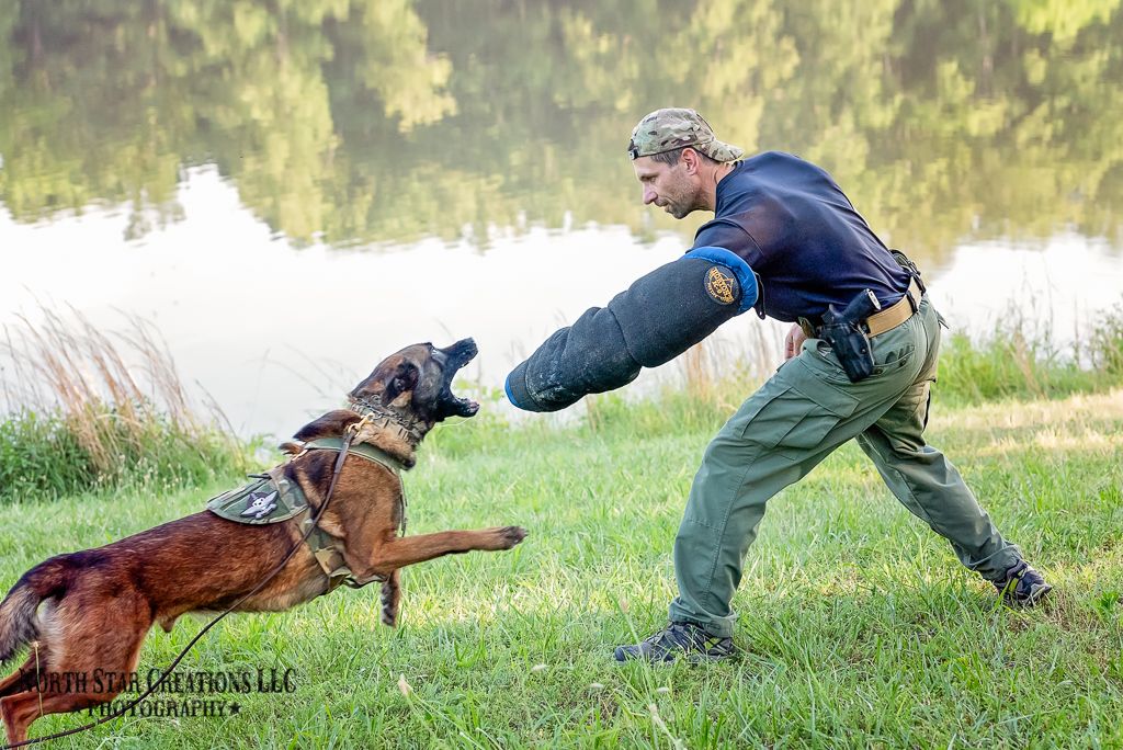 We do a lot of work with Police K9 training and co