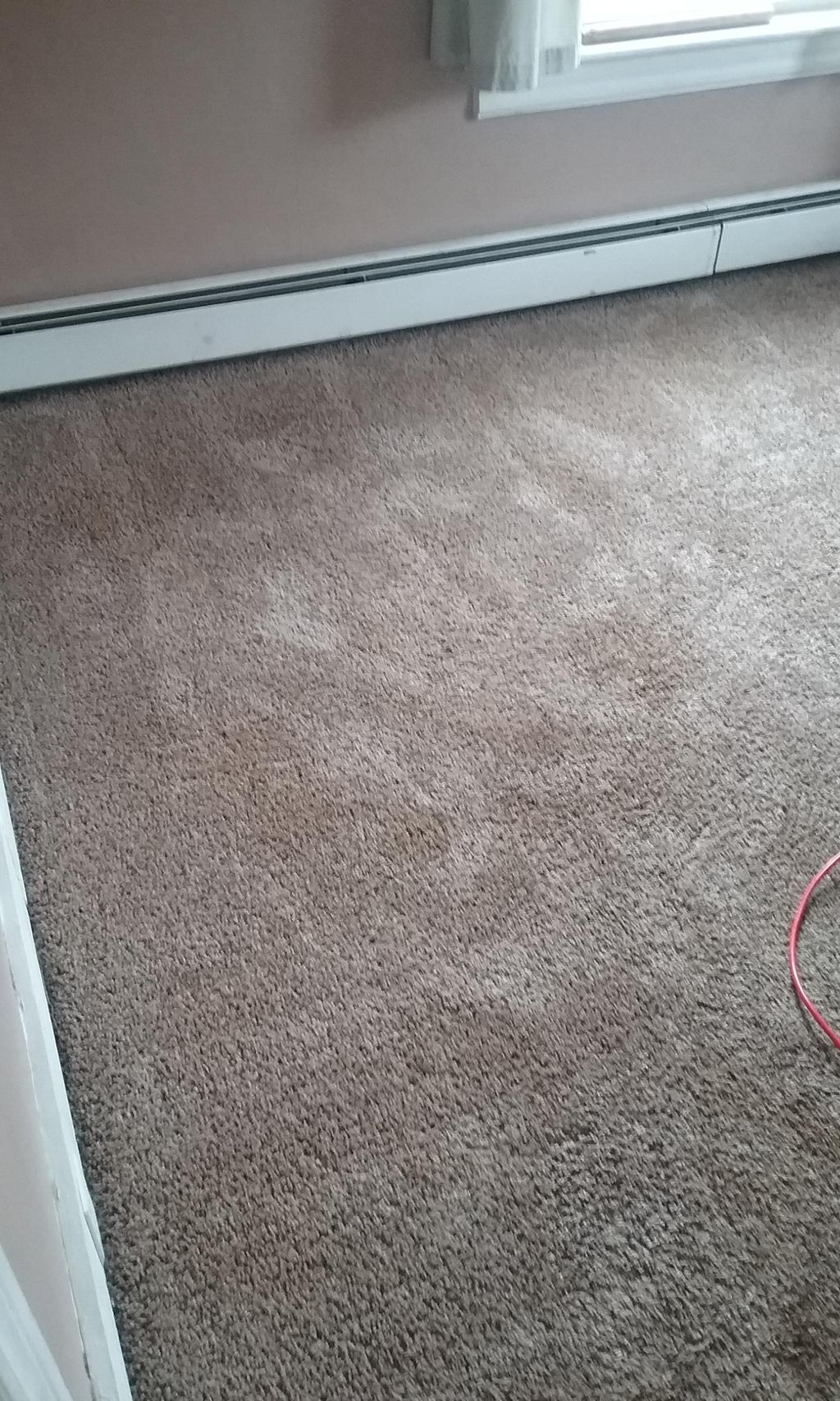 Main corner of room with pet staining, strong pet 